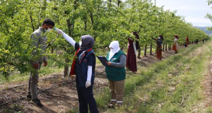 Günlük Yevmiye Ne Kadar 2026?